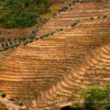 Quinta da Gaivosa, Douro Valley, Portugal