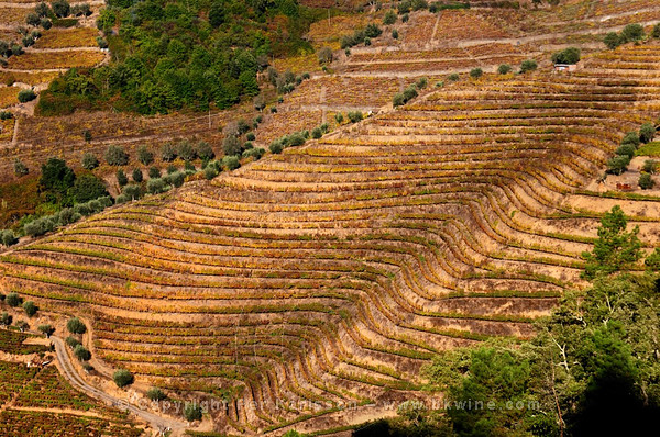 Quinta da Gaivosa, Douro Valley, Portugal