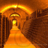 Champagne cellar