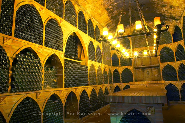 Wine library Raimat, Catalonia, Spain