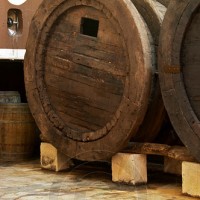 Vallformosa wooden vat Spain Penedes