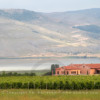 Alpha Estate Winery, Amyndeon, Macedonia, Greece