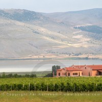 Alpha Estate Winery, Amyndeon, Macedonia, Greece