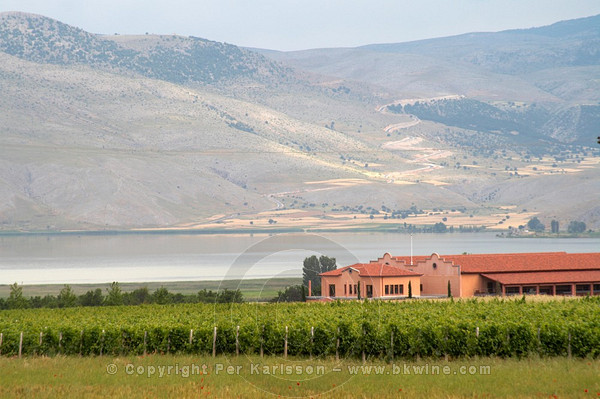 Alpha Estate Winery, Amyndeon, Macedonia, Greece