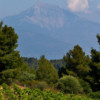 Mount Athos and vineyards, Greece