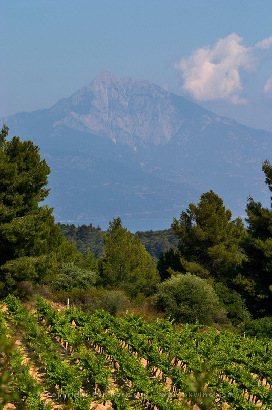 Mount Athos and vineyards, Greece