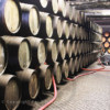 Sandeman wine cellar, Vila Nova de Gaia, Porto, Duoro Valley, Portugal
