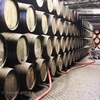 Sandeman wine cellar, Vila Nova de Gaia, Porto, Duoro Valley, Portugal