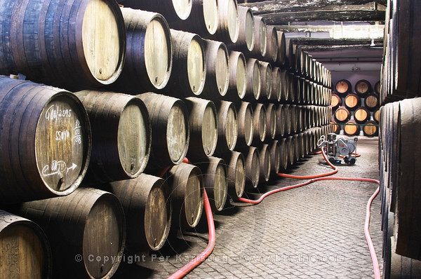 Sandeman wine cellar, Vila Nova de Gaia, Porto, Duoro Valley, Portugal