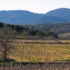 Domaine Mas Gabinele. Faugeres. Languedoc