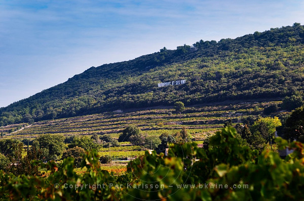 View over the Vacqueyras vineyards with a sign on the hillside inspired by the famous Hollywood sign. Domaine la Monardière, Vacqueyras, Vaucluse, Provence, France, Europe