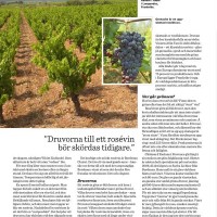 Rose article by BKWine in Bolaget by Systembolaget, page 4