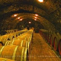 The Kiralyudvar winery: Rows of barrels with Tokaj wine with glass bung hole stoppers in the ageing cellar. Kiralyudvar (meaning