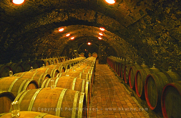 The Kiralyudvar winery: Rows of barrels with Tokaj wine with glass bung hole stoppers in the ageing cellar. Kiralyudvar (meaning "King's Court").