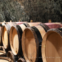 Barrel in the ageing cellar at Clos des Langres, Domaine d'Ardhuy, Nuits-St-Georges, Burgundy