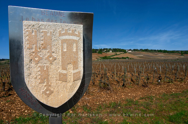 Hospices de Beaune sign, Le Bas des Teurons, Beaune, Cote de Beaune, Burgundy, France