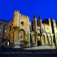 The Pope's Palace in Avignon