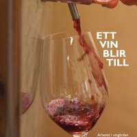 The Creation of a Wine, cover