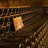 Thousands of bottles stored in a champagne cellar with a chalk board label