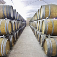 Oak barrel aging cellar