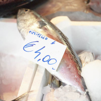 Fish at a market stall in Italy