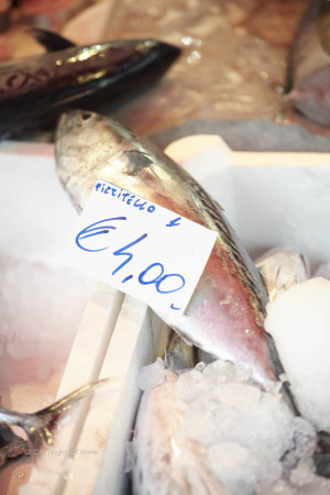 Fish at a market stall in Italy