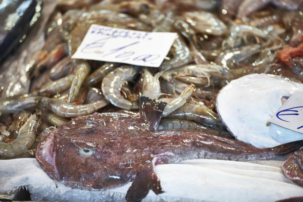 Fish at a market stall in Italy