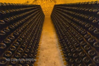 In the underground wine cellar, Champagne
