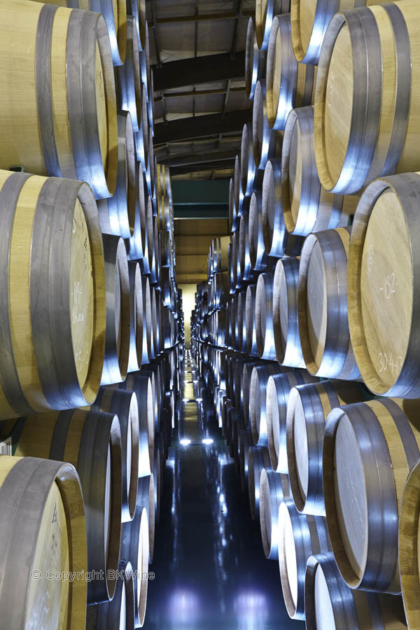 Thousands of oak barrels in a wine cellar, Rioja