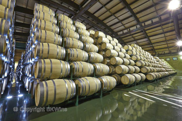 Thousands of oak barrels in a wine cellar, Rioja
