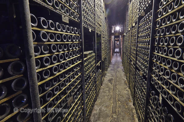 Thousands of old bottles in a wine cellar in Rioja