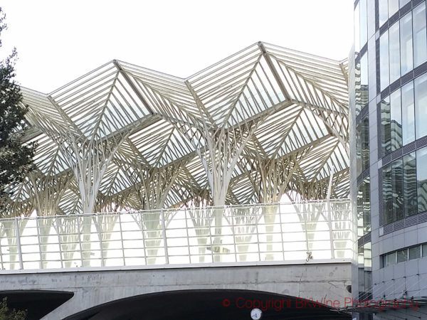 The Calatrava Gare do Oriente, daytime, Lisbon-Oriente