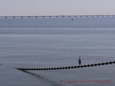 Vasco da Gama bridge, Lisbon-Oriente