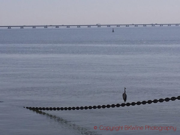 Vasco da Gama bridge, Lisbon-Oriente