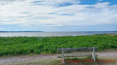 An empty bench looking out over the sea in Farhult