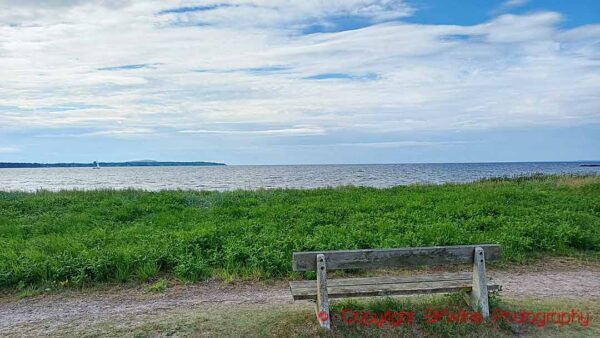 An empty bench looking out over the sea in Farhult