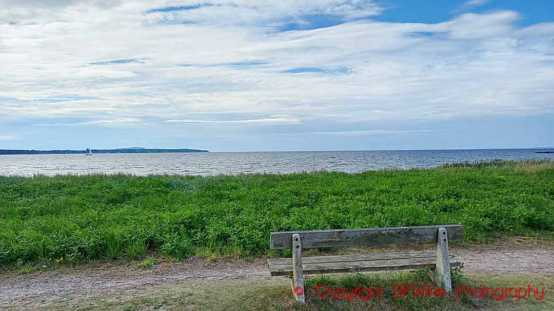 An empty bench looking out over the sea in Farhult